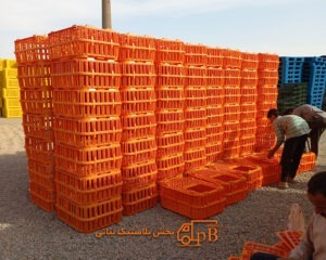 قفس حمل مرغ زنده - سبد حمل مرغ